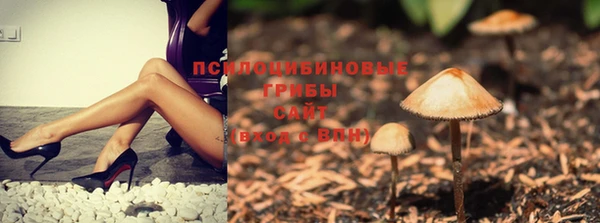 бошки Алексин
