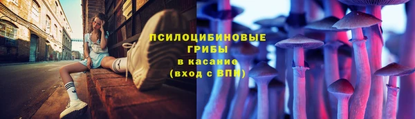 твердый Алзамай