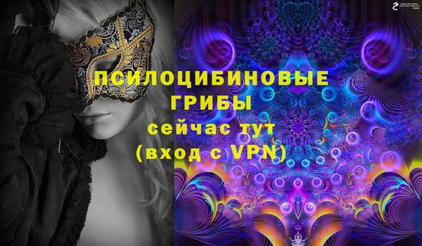 твердый Алзамай