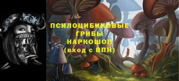 твердый Алзамай