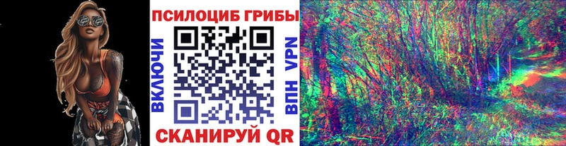 Галлюциногенные грибы мухоморы  наркошоп  Ахтырский 